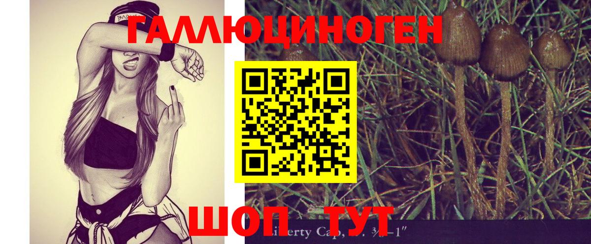 Галлюциногенные грибы Cubensis Тамбов