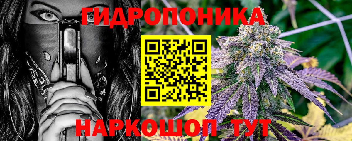 Каннабис ГИДРОПОН Тамбов